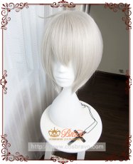 画像1: 陰陽師 大天狗(おおてんぐ) コスプレウィッグ (1)
