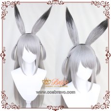 画像2: アークナイツ サベージ コスプレウィッグ フルセット (2)