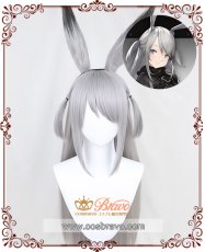 画像1: アークナイツ サベージ コスプレウィッグ フルセット (1)