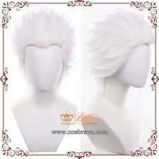 画像2: Fate/Grand Order FGO Extra エミヤ アーチャー コスプレウィッグ (2)