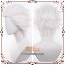 画像3: Fate/Grand Order FGO Extra エミヤ アーチャー コスプレウィッグ (3)