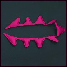 画像10: ポケモンZA カラスバ コスプレ衣装 (10)